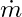 \dot{m}