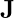 \mathbf{J}